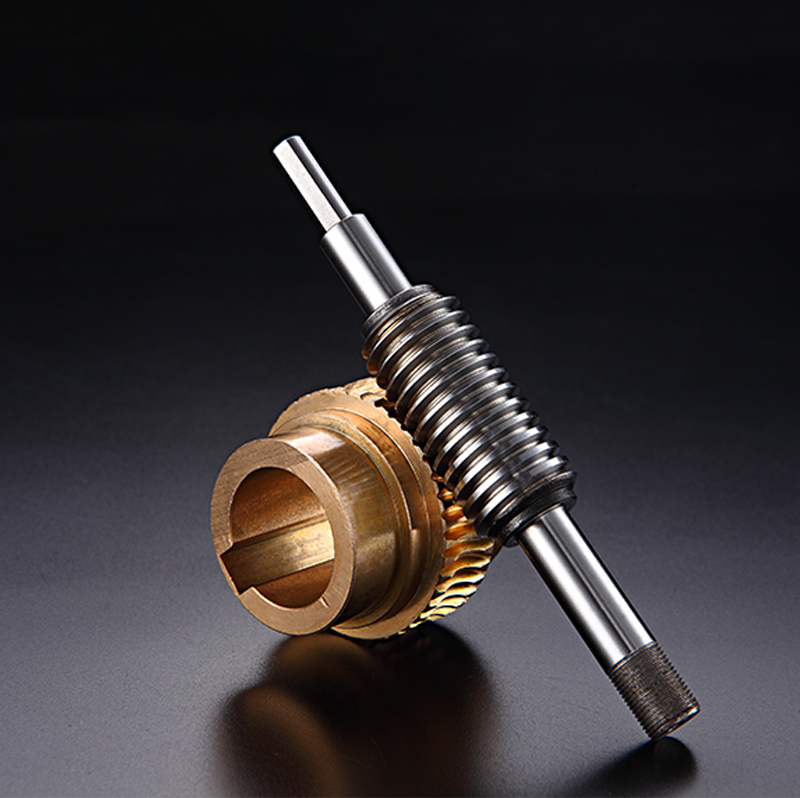 高精密定制雙導程蝸輪蝸桿加工0.5模-6模高精密蝸輪蝸桿廠家